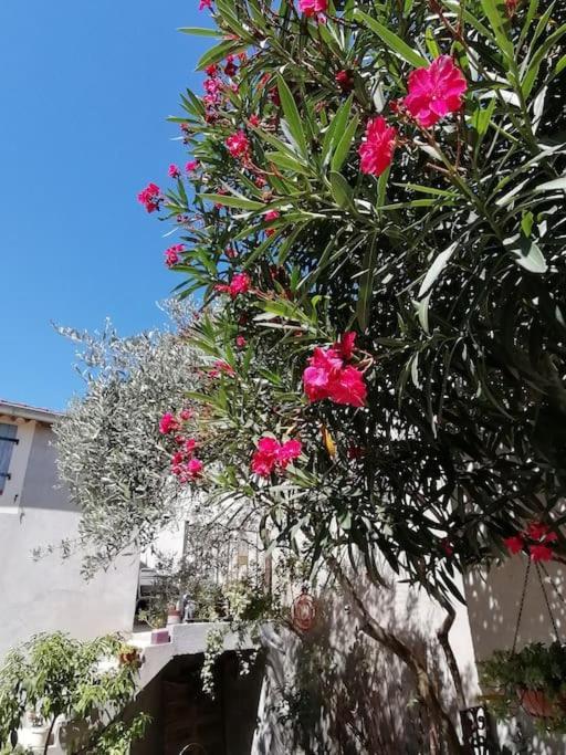 La Chamade Maison De Village Climatisee Lapalud Екстер'єр фото