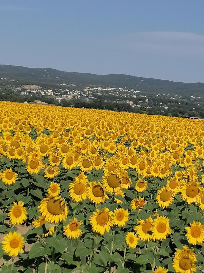 La Chamade Maison De Village Climatisee Lapalud Екстер'єр фото